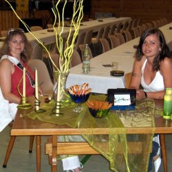 Sommerball  in Oberach